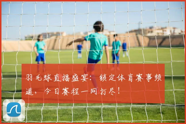 羽毛球直播盛宴：锁定体育赛事频道，今日赛程一网打尽！
